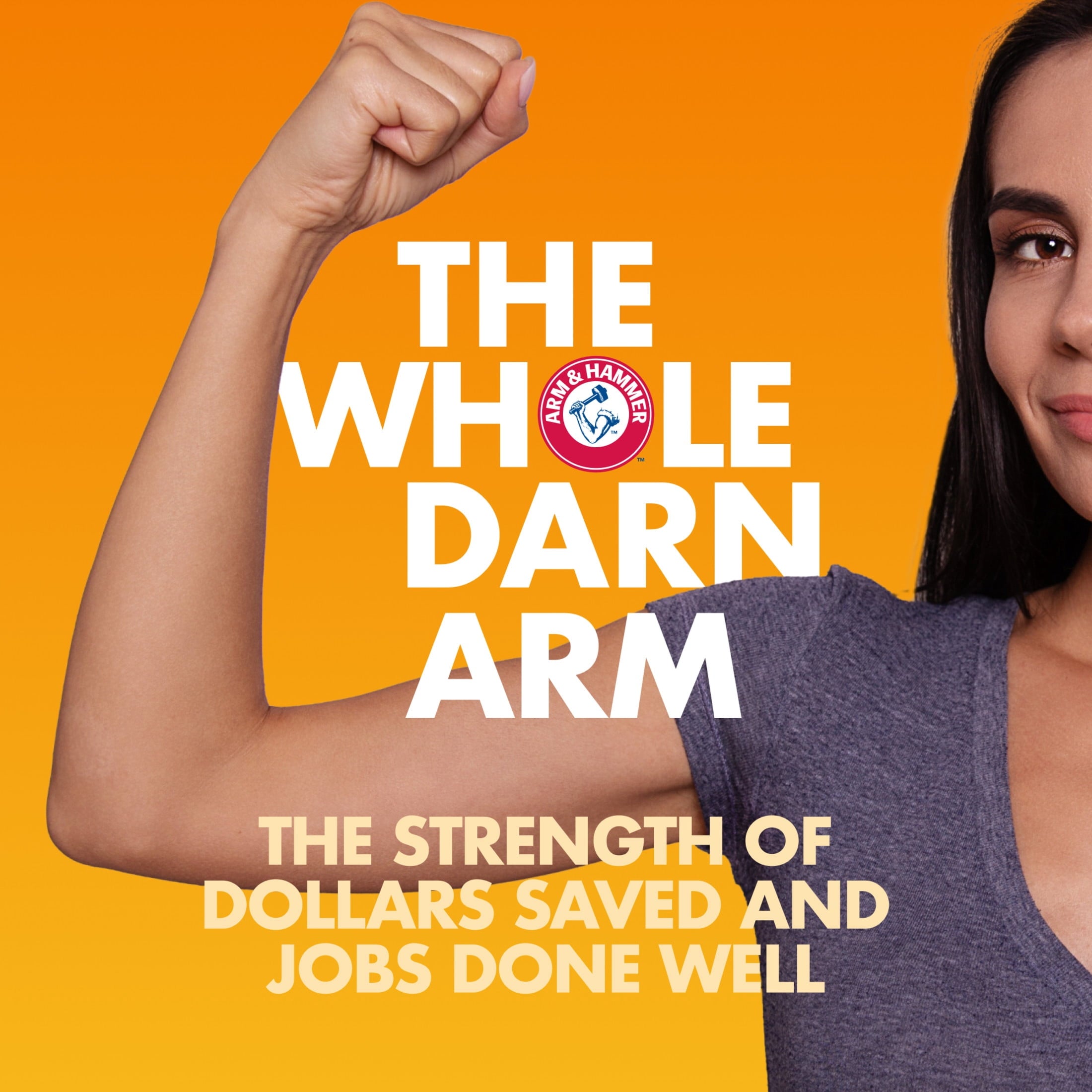 ARM & HAMMER™ Deep Clean Stain Formula Detergent Power Paks - Sparkling Clean Scent, 44 Count