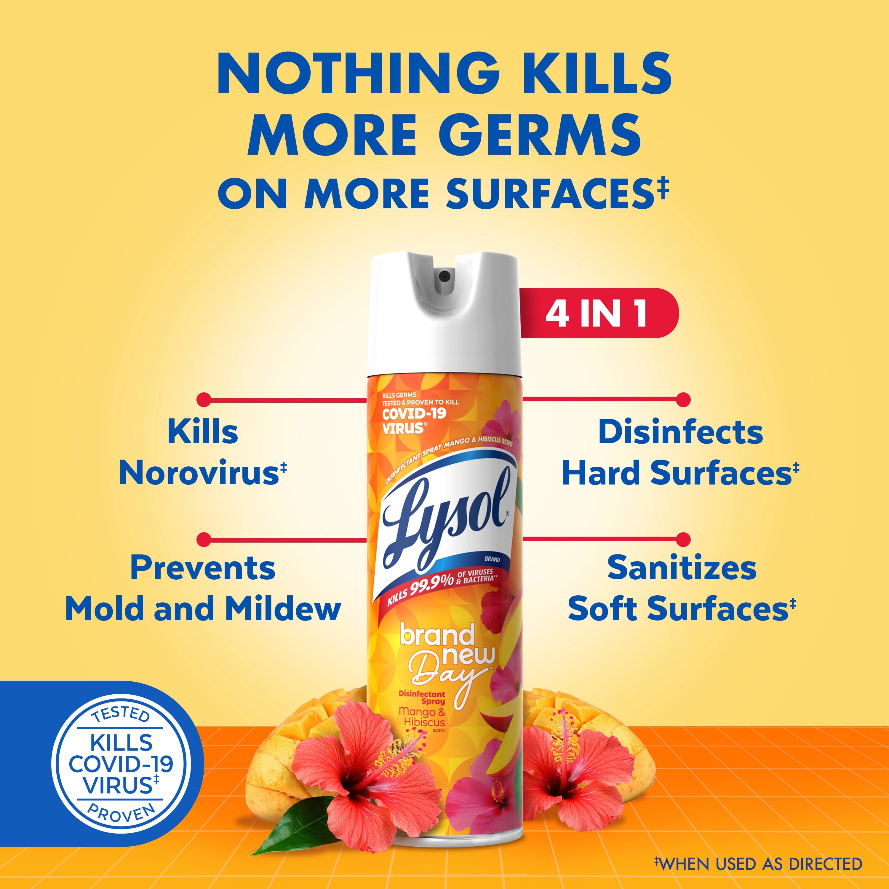 Lysol Disinfectant Sanitizing and Antibacterial Spray for Deodorizing - Mango & Hibiscus, 12.5 oz