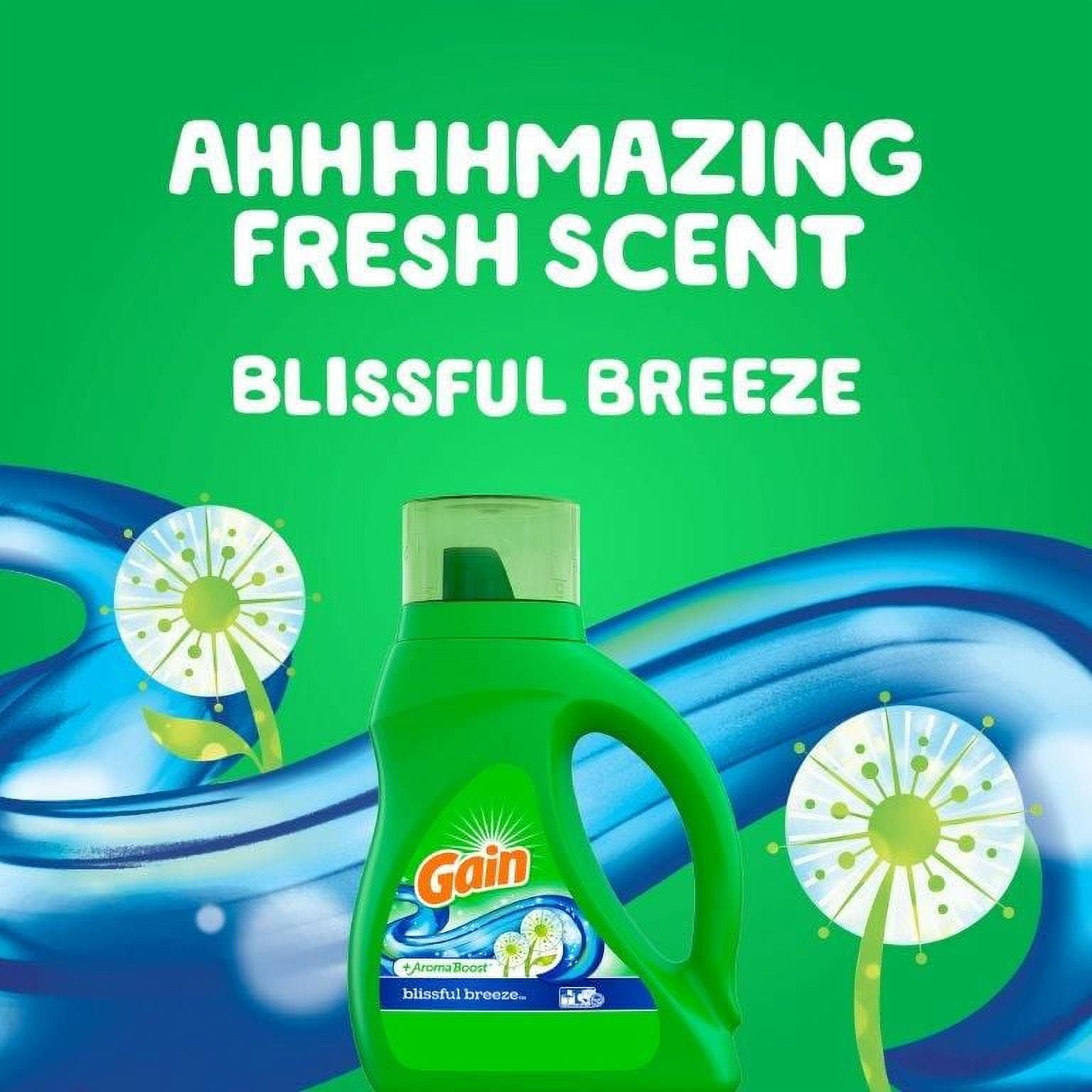 Gain Liquid Laundry Detergent - Blissful Breeze, 10 Fl Oz, 6 Loads